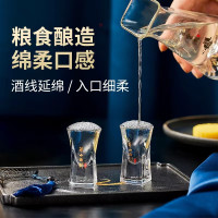 西凤酒 华山论剑10年 凤香型 白酒 45度 500ml 单瓶装 (新老包装随机发货)
