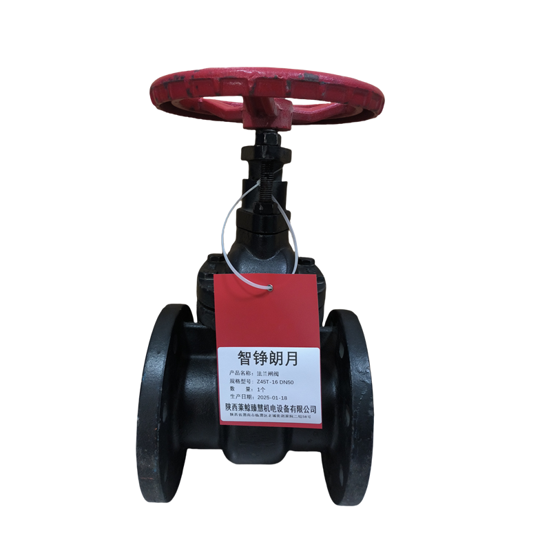 智铮朗月 法兰闸阀 Z45T-16 DN50 个高清大图