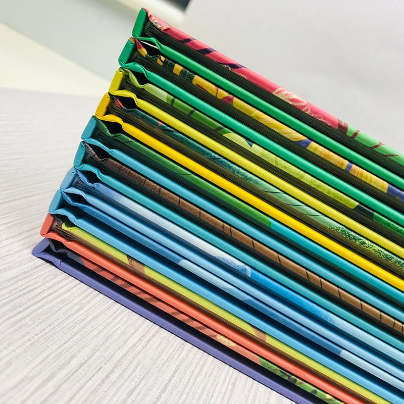 小恐龙的大梦想 [正版]儿童自然科学启蒙和生命启蒙教育绘本10册精装硬壳硬皮绘本3-6岁宝宝幼儿园早教性格培养图画故事书