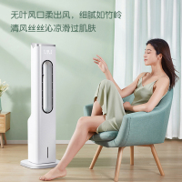 志高(CHIGO)无叶风扇冷风机家用立式冷风扇 单冷型加湿水空调 制冷电风扇落地塔扇空调扇FSXM-WY02Y遥控款