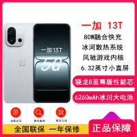 [全新]oppo 一加 13T 晨雾灰 12GB+512GB 性能超强小直屏 骁龙8至尊版 冰川大电池 80W快充 双卡5G手机
