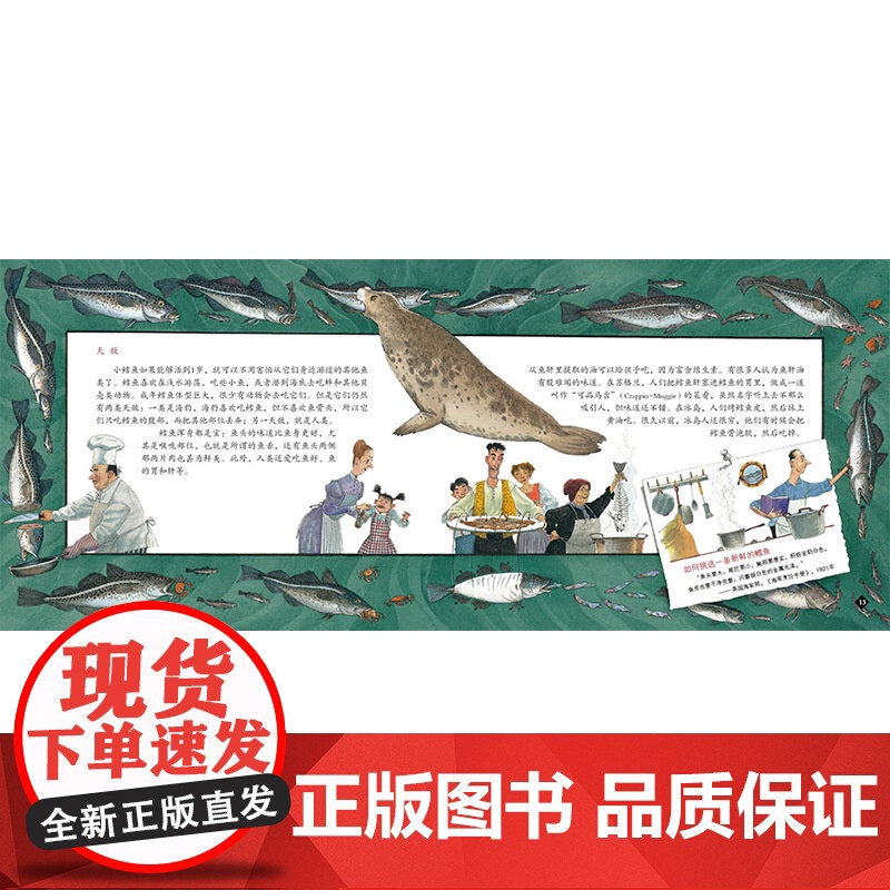 鳕鱼的故事蒲蒲兰硬壳精装图画书经典历史类书籍的儿童绘本版适合6岁以上阅读正版童书高清大图
