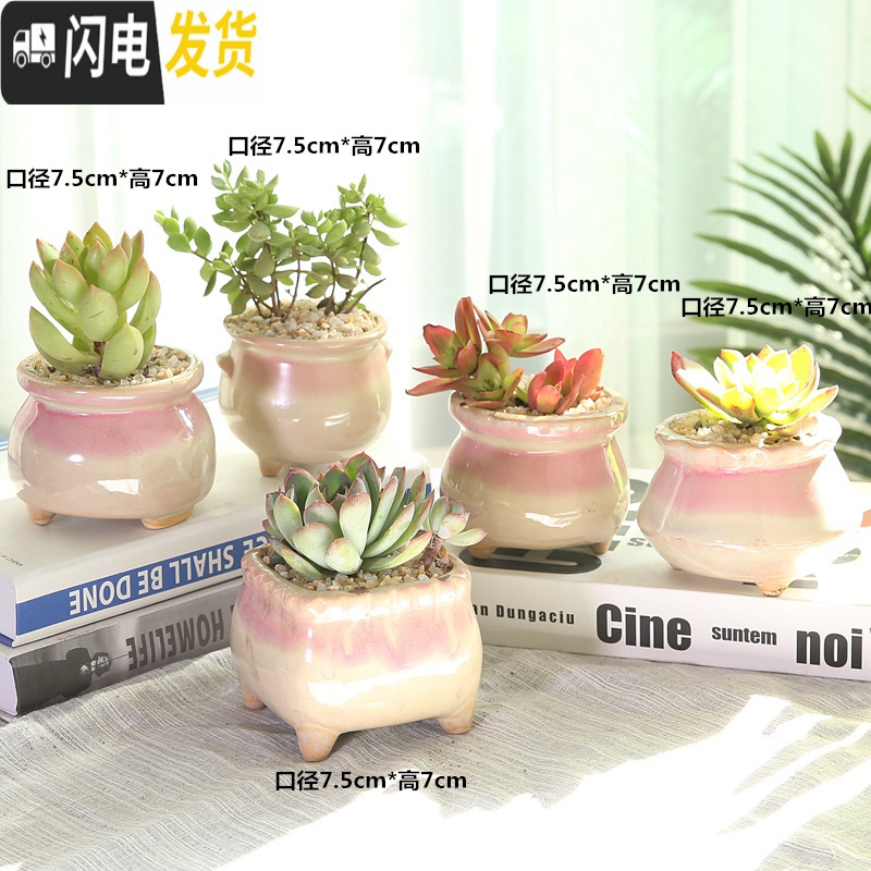 三维工匠多肉花盆陶瓷带托盘粗陶复古素烧紫砂家用创意大小简约 善根两个拼盘 小花盆容器高清大图