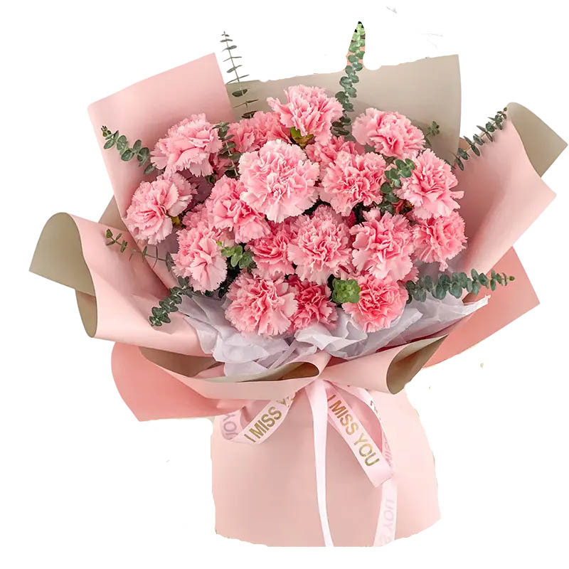 母亲节19朵粉色康乃馨花束全国配送杭州上海北京深圳成都鲜花速递同城