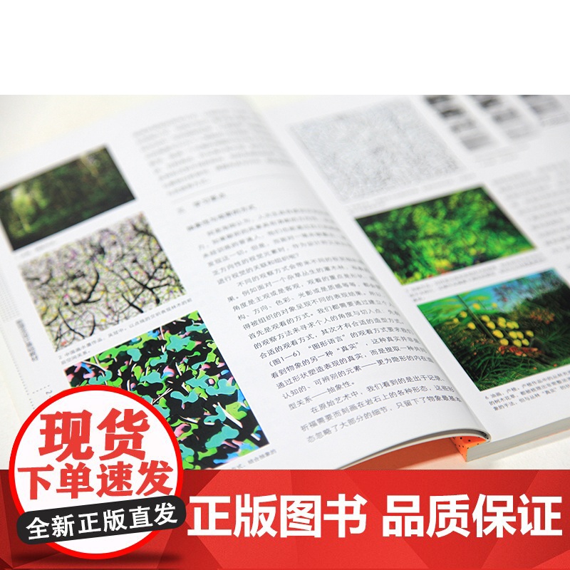 《图形语言》 冯峰 主编 中国美术学院 正版品牌高清大图