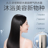 史密斯 16升零冷水燃气热水器 沐浴美容软水 8年整机质保 不锈钢换热器 JSQ31-RJS