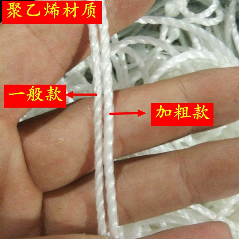足球网(十一人制)