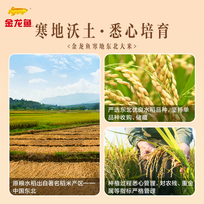 苏宁 金龙鱼 寒地东北大米 单位5KG/袋10斤 起订量4袋/箱 整箱起订 偏远地区不发货高清大图