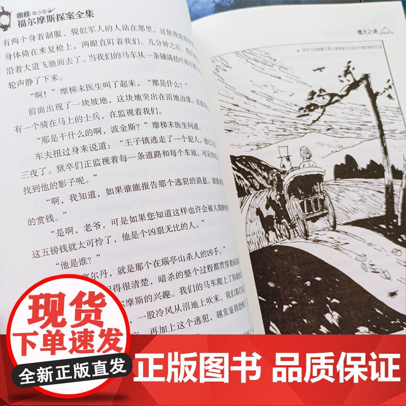 [正版]福尔摩斯探案全集(图释青少版)全10册侦探小说史的不朽经典 儿童青少年版小学生课外阅读好书高清大图