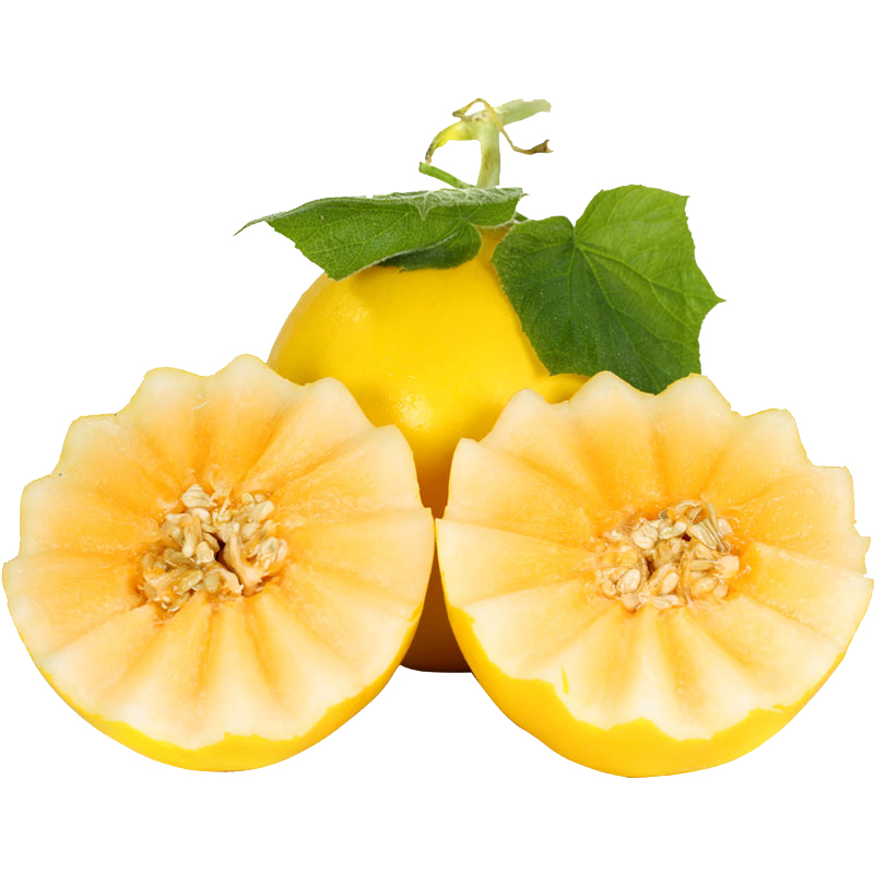 熊猫鸟(xiong mao niao)瓜类报价_参数_图片_视频_怎么样_问答-苏宁