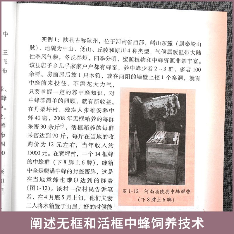 [正版] 高效养中蜂 养蜂书籍 蜜蜂养殖技术教程 中蜂养殖技术书籍科学饲养技术养蜂书籍 养殖蜜蜂书中华蜂土蜂中蜂饲养教