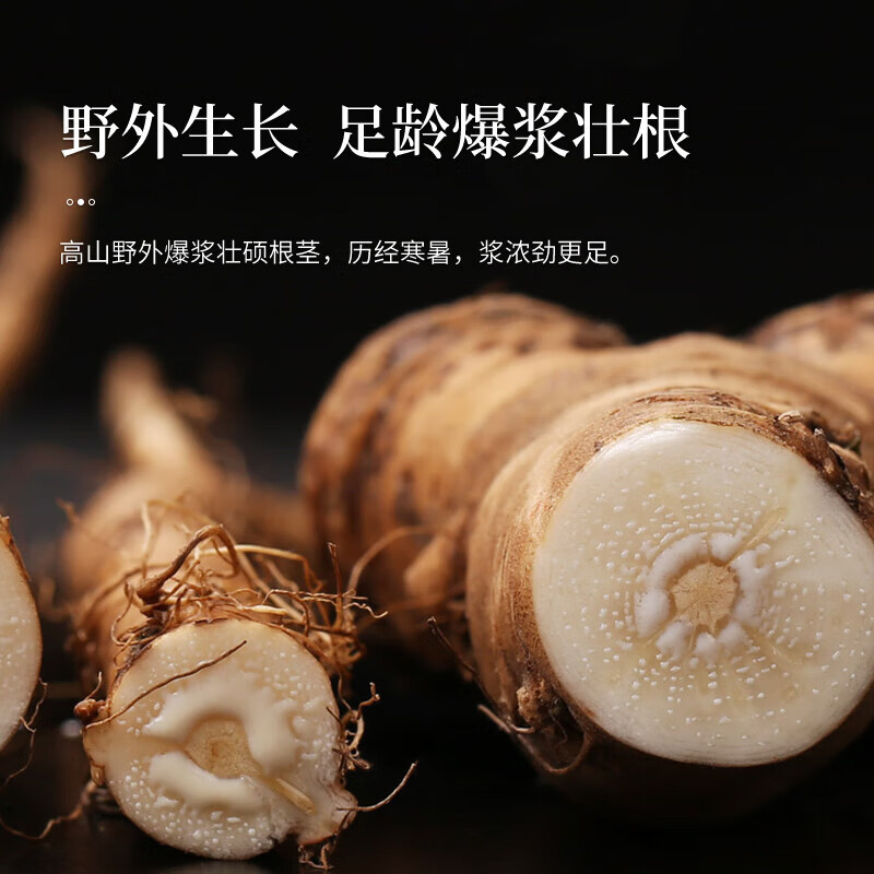 北京同仁堂蒲公英根恒温烘焙新鲜现炒婆婆根茶正宗原产黄花苗根泡水入汤煎服养生茶250g/罐