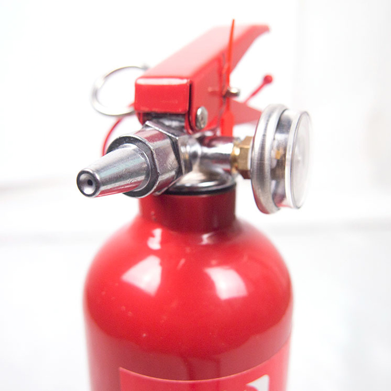 浙安车载水基型手提式泡沫灭火器 0.6L(送魔术贴)车用家用国标水基灭火器高温逃生水系灭火器