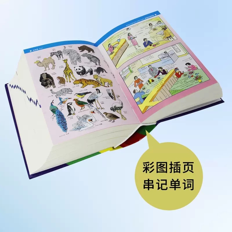 [正版]学生实用英汉大词典缩印本 第七版第7版高中汉英高考字典牛津初阶中高阶双解英文工具书辞典新英汉英语初中到高中