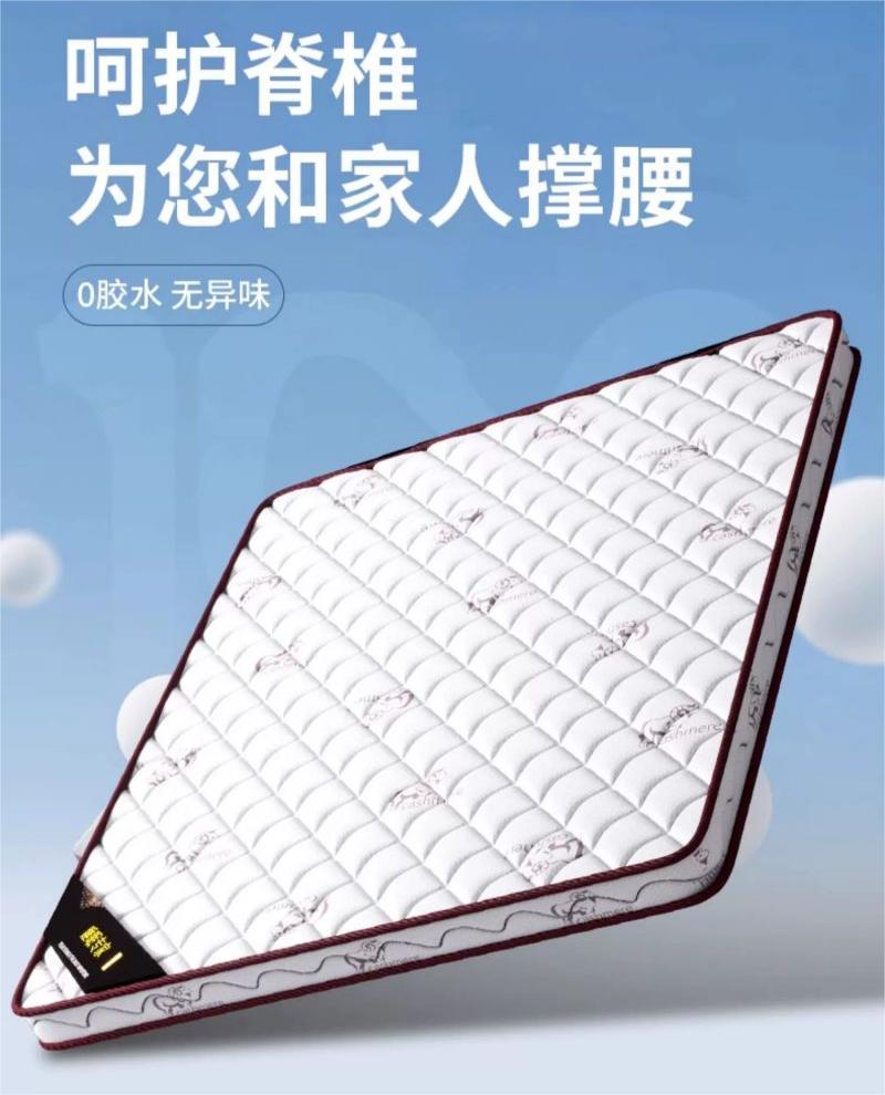 佳品文仪CD097款1500型号天然椰棕床垫棕榈卧室硬垫家用薄款折叠经济型儿童护脊垫(1500*2000*100mm)
