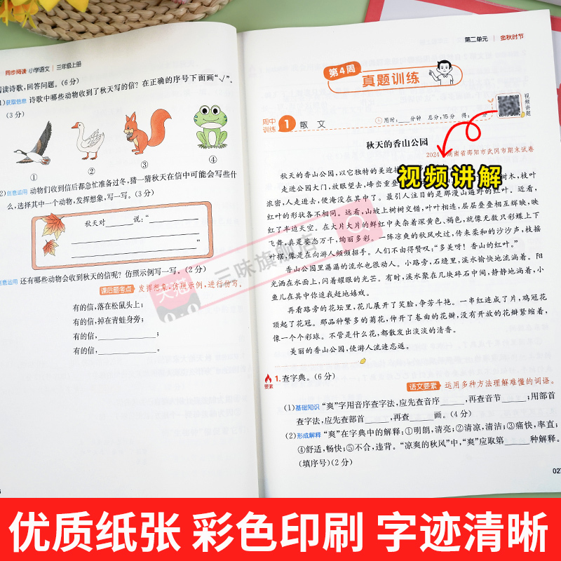 数学计算+数学思维训练[人教2册] 二年级上 [正版]2024秋版小学语文同步阅读一二年级三年级四五六年级上册下册同步拓