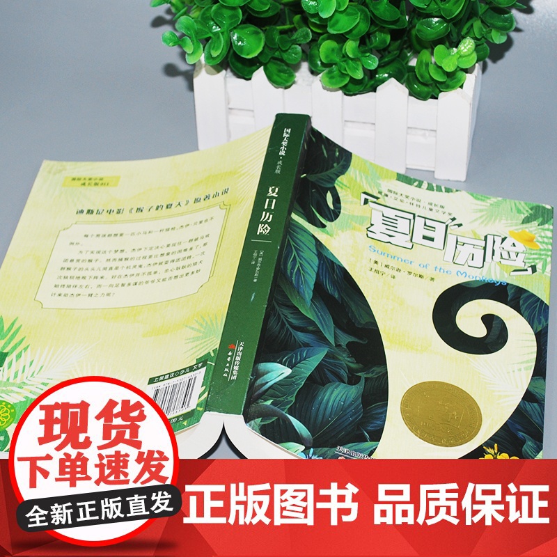 国际大奖小说夏日历险成长版新蕾出版社小学生三四五六年级课外书必读老师阅读人教版纽伯瑞儿童文学金奖系列国际安徒生奖高清大图