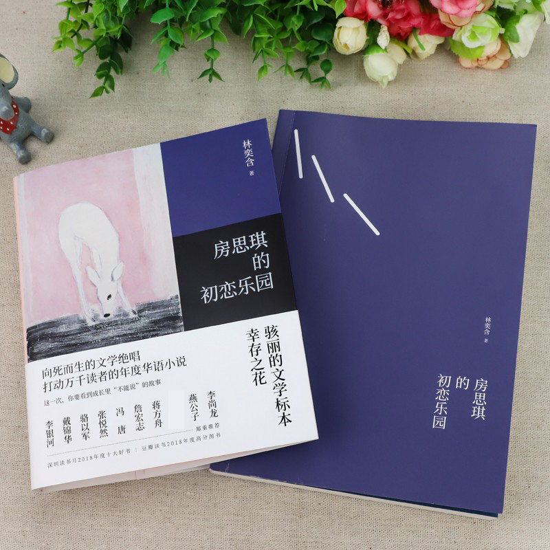 [正版]房思琪的初恋乐园 林奕含 简体中文版 作家现当代文学小说散文青春文学随笔改变真人真实故事 图书籍 磨铁成长故事高清大图