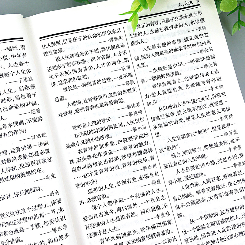 每日箴言:一句话改变人生 [正版]名言佳句辞典书籍高中小学六年级初中全集书阅读中外名人名言语录高考语文课外工具书经典语录高清大图