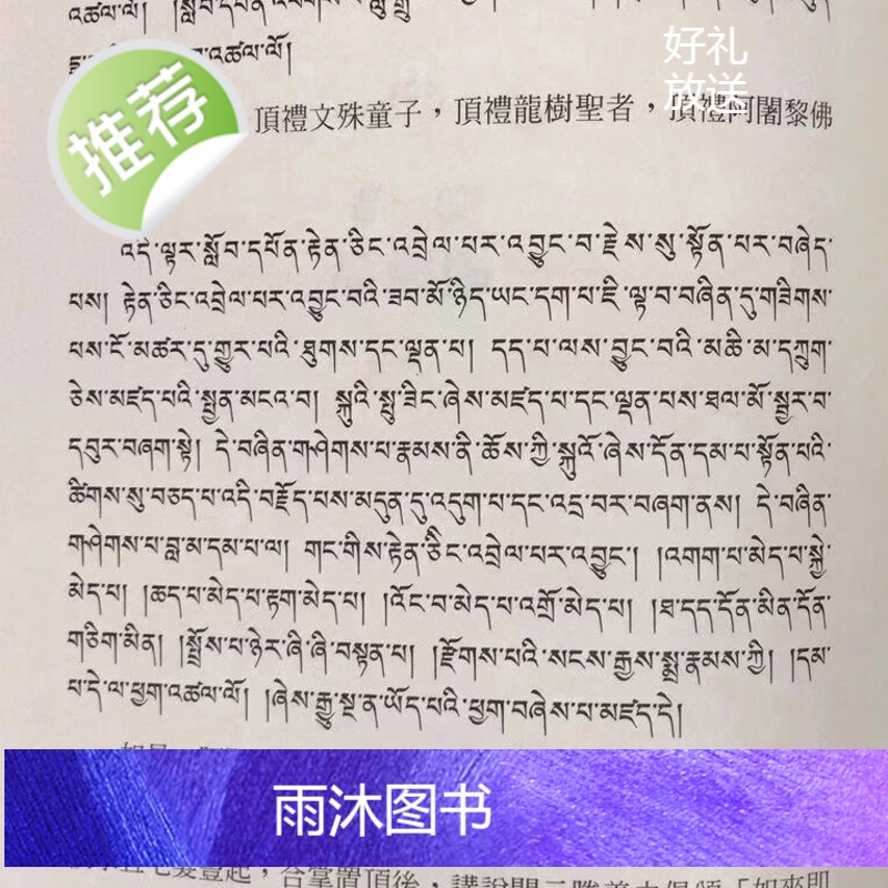 正版 中观根本论释 佛护论(精装) 佛护论师 商周高清大图