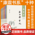 【任选】康震讲书系列 康震讲苏东坡讲诗词经典讲欧阳修曾巩柳宗元诗仙李白王安石三苏李清照韩愈诗圣杜甫品读诗词 中华书局