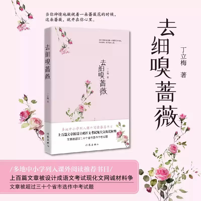 慢慢走慢慢爱 [正版] 丁立梅散文作品集全套书籍 丁立梅十年散文集 暗香暖爱遇见 风会记得一朵花香向着美好奔跑等等待绽放高清大图