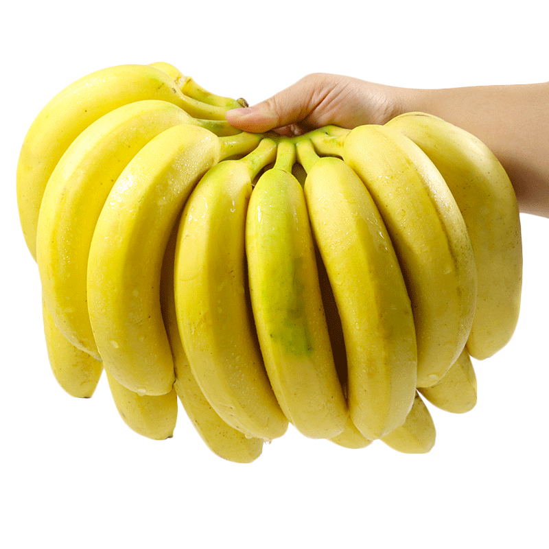 云南香蕉整箱当季水果新鲜10斤自然熟十斤不是小米蕉