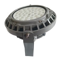 鼎晟丰(DSF) DSFG-911-100 100W LED泛光灯 个 灰色
