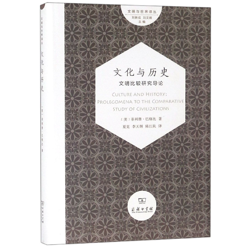 音像文化与历史(文明比较研究导论)(精)/文明与世界译丛