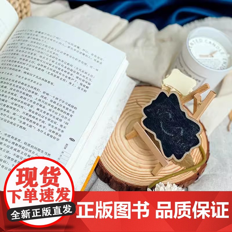 做一个专业的班主任王晓春正版 大夏书系 全国中小学班主任培训用书教育理论教师用书 班主任管理书籍 华东师范大学出版社高清大图