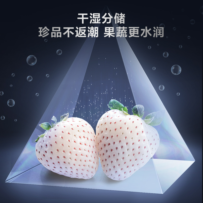 TCL 550升对开双开门一级能效智能独立三系统 干湿分储 多温区随心调节 多点离子杀菌 家用冰箱R550Q10-S