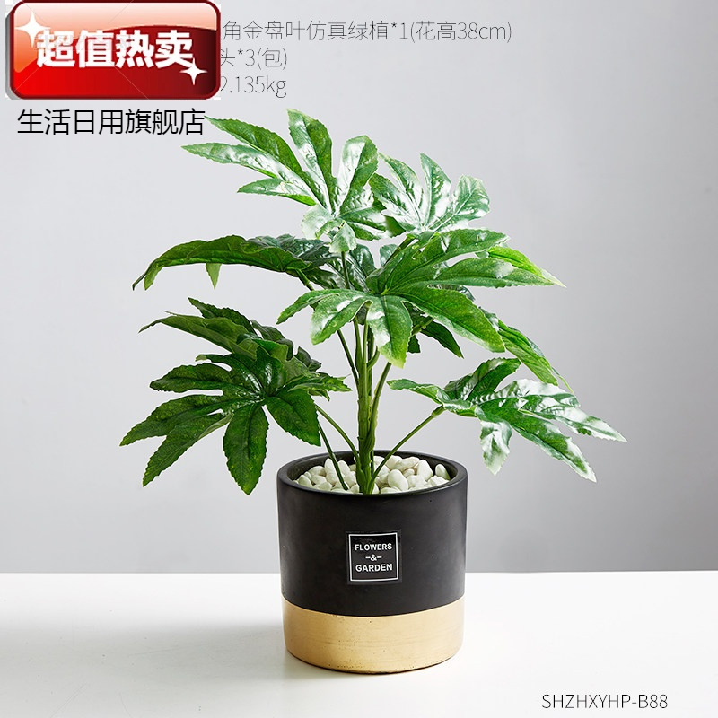第吉尔装饰摆件北欧ins绿植假花盆栽餐厅餐桌摆件室内仿真仙人掌龟背叶盆景装饰黑色圆形花盆带植物18 价格图片品牌报价 苏宁易购第吉尔生活日用旗舰店
