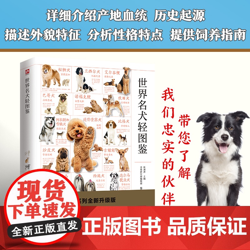 世界名犬轻图鉴 特征描述,血统介绍,饲养指南护理一本通!高清大图