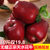 甘肃天水花牛苹果蛇果新鲜水果10斤带箱当应季刮泥粉红苹果[三天内发货]
