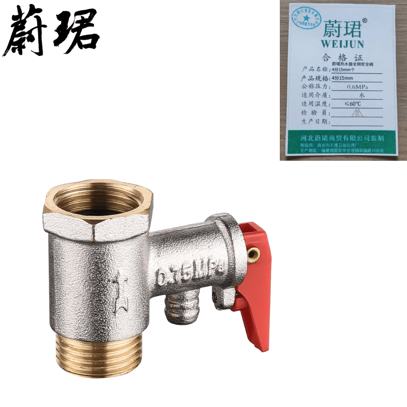 蔚珺热水器全铜安全阀4分15mm个