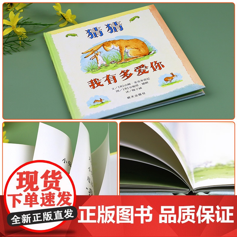 猜猜我有多爱你绘本一年级必读阅读课外书非注音版 硬皮硬壳精装版 山姆系列爱尔兰非拼音版幼儿园故事书 少年儿童明天出版社信高清大图
