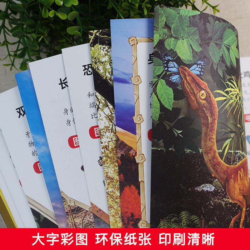 [全套4册]恐龙图画搜寻王1234 [正版]恐龙图画搜寻王全套4册迷宫大配对少儿3-6-8-9-12岁小学生儿童益智游戏高清大图