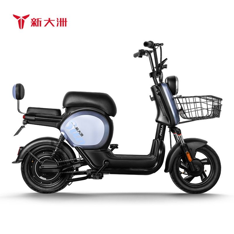 新大洲PALLA电动车 新国标48V24AH锂电池续航<80km电瓶车代步车电动自行车 K9(大客户专拍)