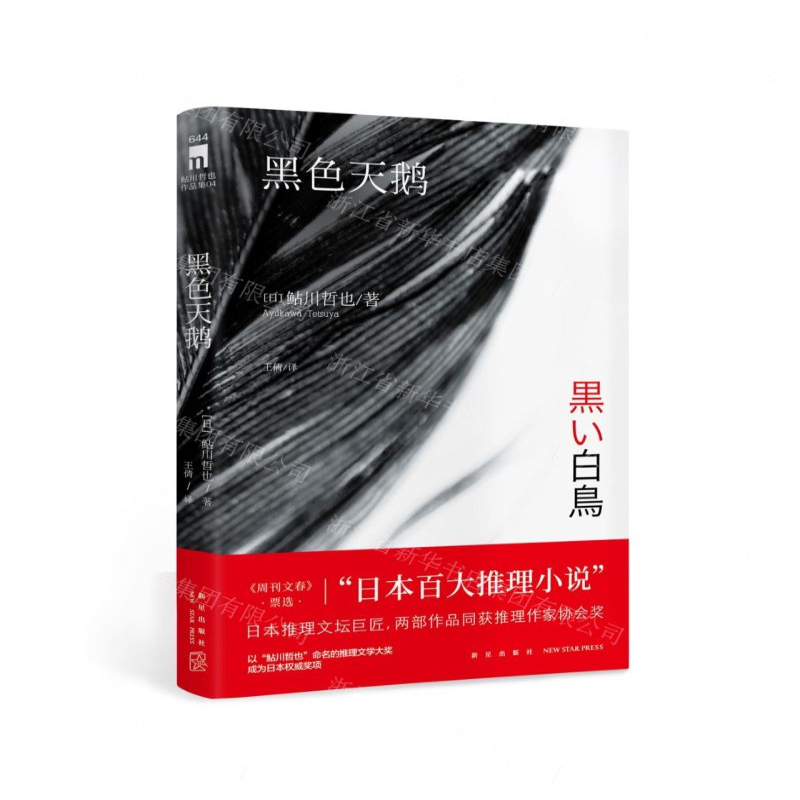 [N]黑色天鹅-9787513337816高清大图