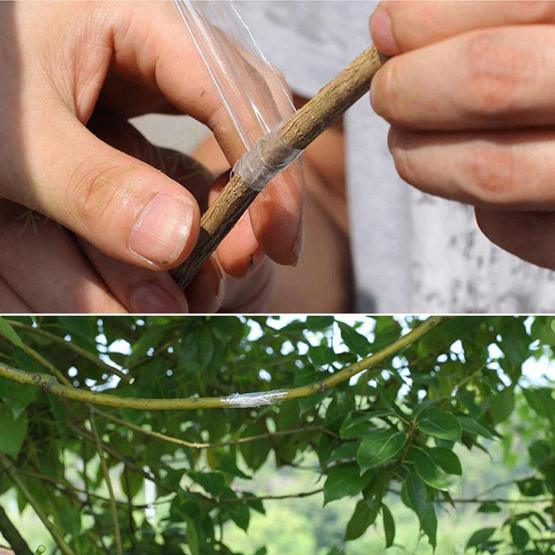 嫁接器专业膜绑带果树苗木包扎带无需打结自粘性缠绕膜嫁接膜薄膜 1个看样装
