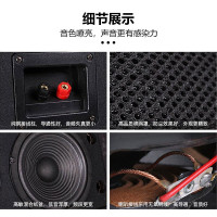 先科(SAST)K3套装家庭影院 KTV音响套装 家用音响 10英寸卡拉OK音箱