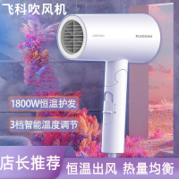 飞科(FLYOO)电吹风机家用大功率恒温大风力宿舍飞科旗下博锐