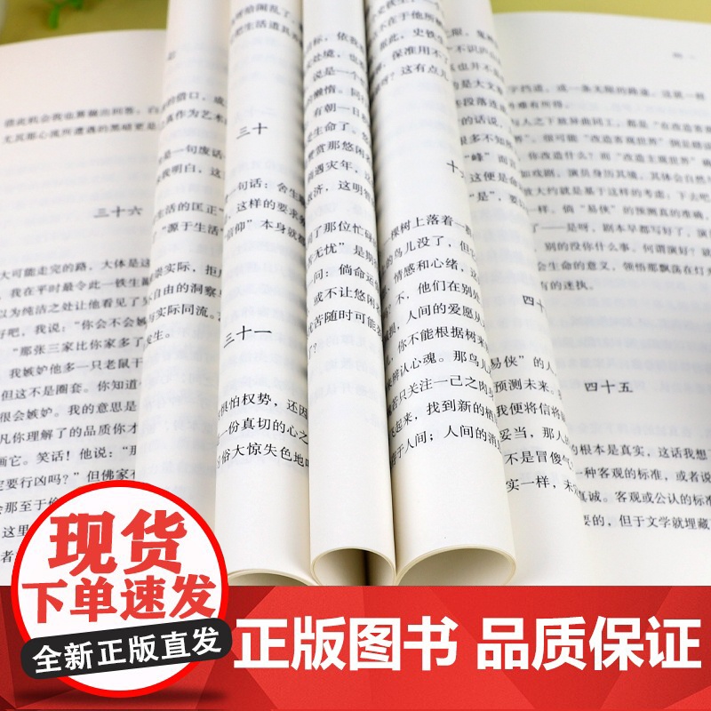 病隙碎笔纪念版 史铁生著史铁生充满灵性光辉的生命笔记附录史铁生先生亲摄照片名家经典现当代文学随笔哲学中国文学书籍高清大图