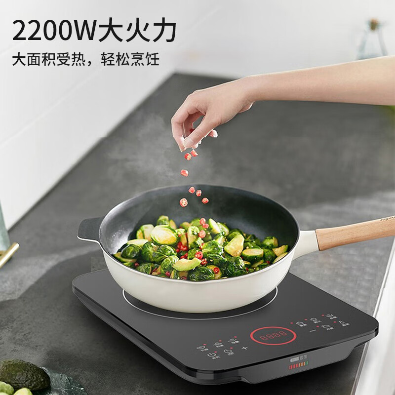 九阳电磁炉 C22-F5 赠:汤锅+炒锅(单位:台)高清大图