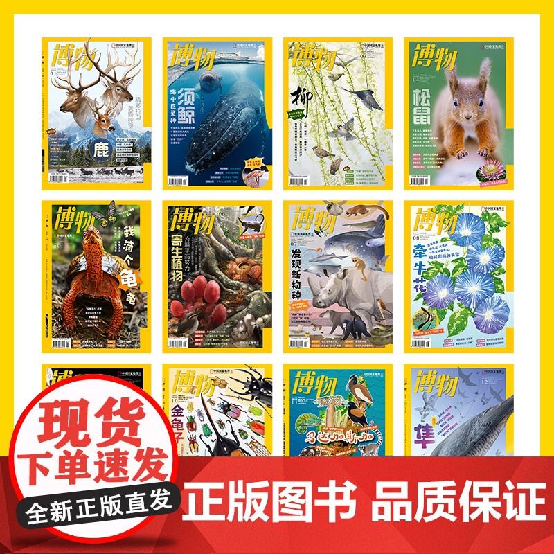 [赠主题毛毡袋]博物杂志 2024年典藏版 全年12本合集 中国国家地理杂志典藏版青少年科普杂志读物博物杂志2024年儿高清大图
