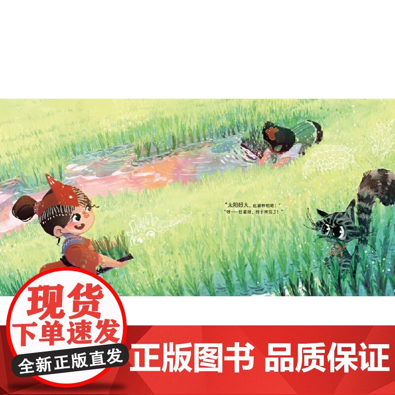 新时代中国原创儿童图画书系列:斑狸躲猫猫高清大图