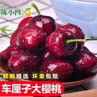 新鲜车厘子大樱桃 2斤(净重1.8斤)JJJ 30-32mm 樱桃 新鲜水果 生鲜水果 陈小四水果