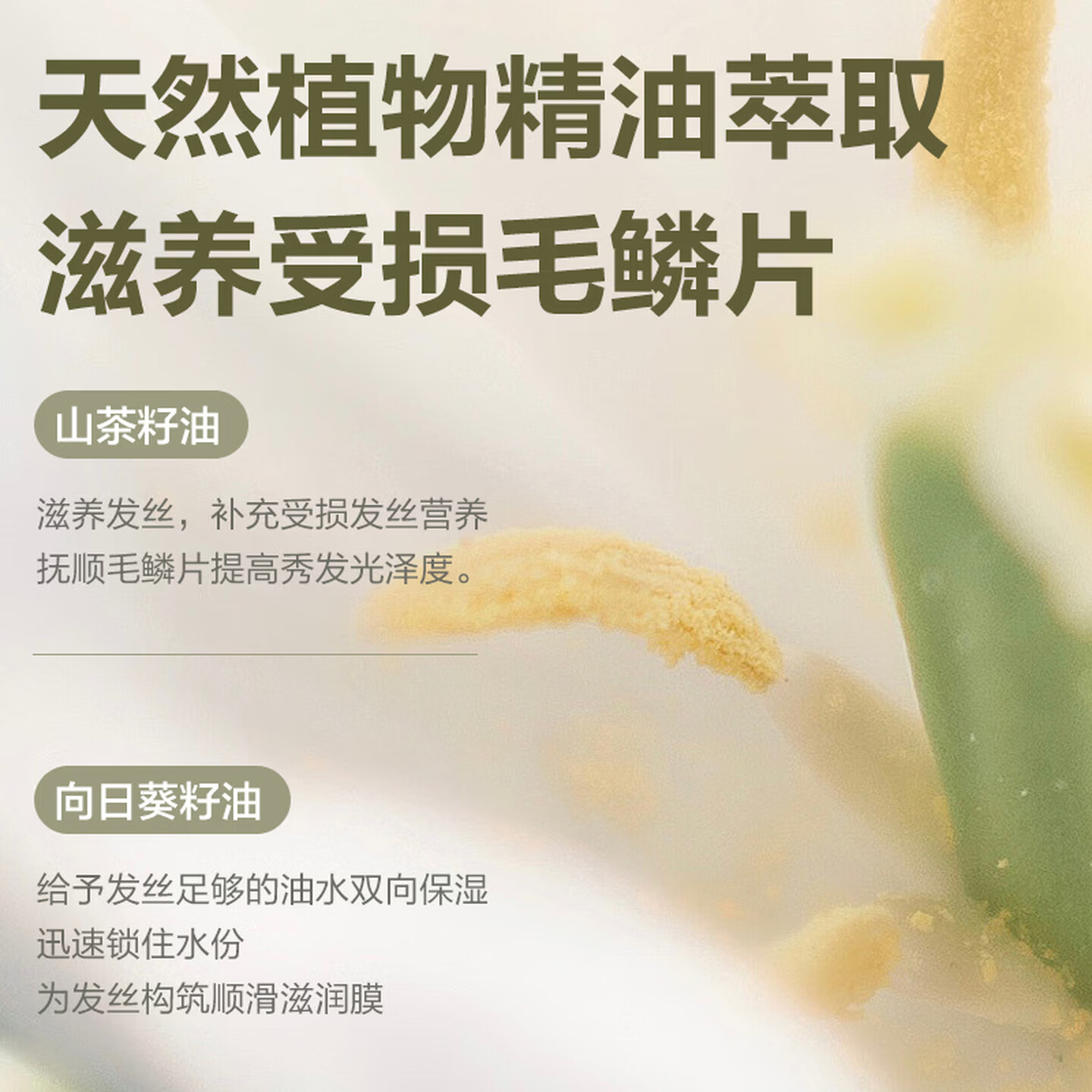 柏缇茶萃系列沐浴露洗发水套装 柔顺修护护发素508ml高清大图