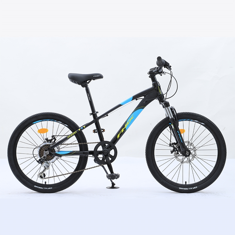 凤凰phoenix铝合金山地车自行车22寸儿童车轻便中小学生变速成人男孩