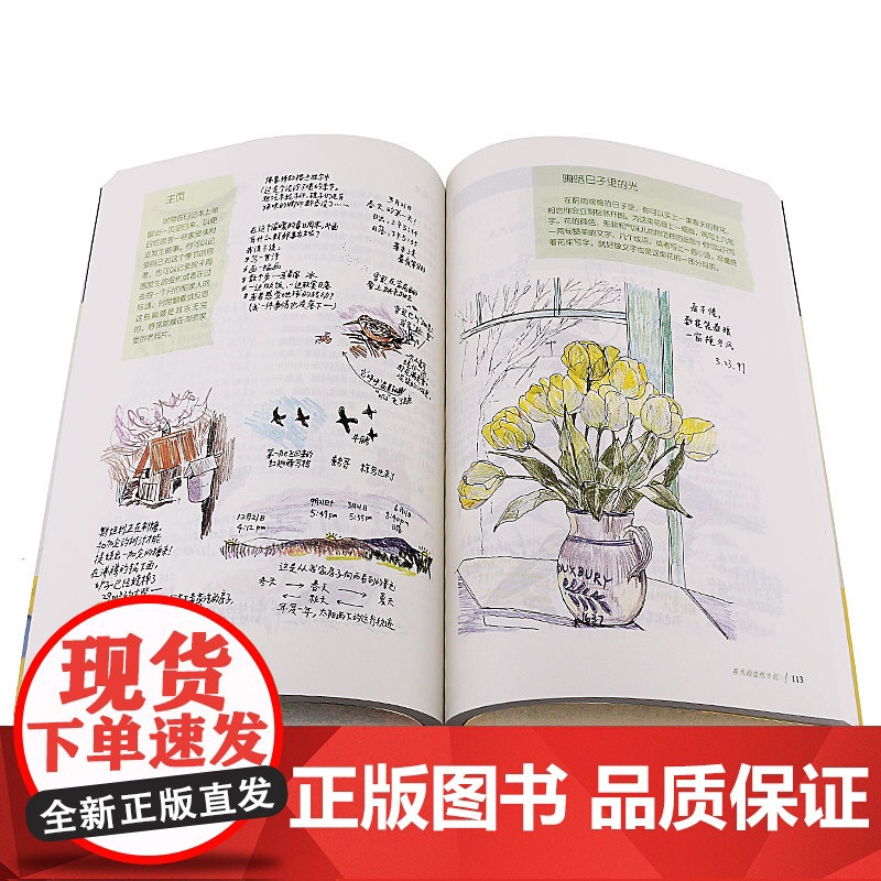 笔记大自然 找寻一种探索周围世界的新途径 本书是梭罗 瓦尔登湖 华东师范大学出版社 科普读物传递大自然的色彩 自然观察笔高清大图